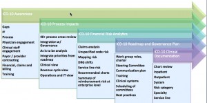 ICD-10 Financial Risk Assessment 1